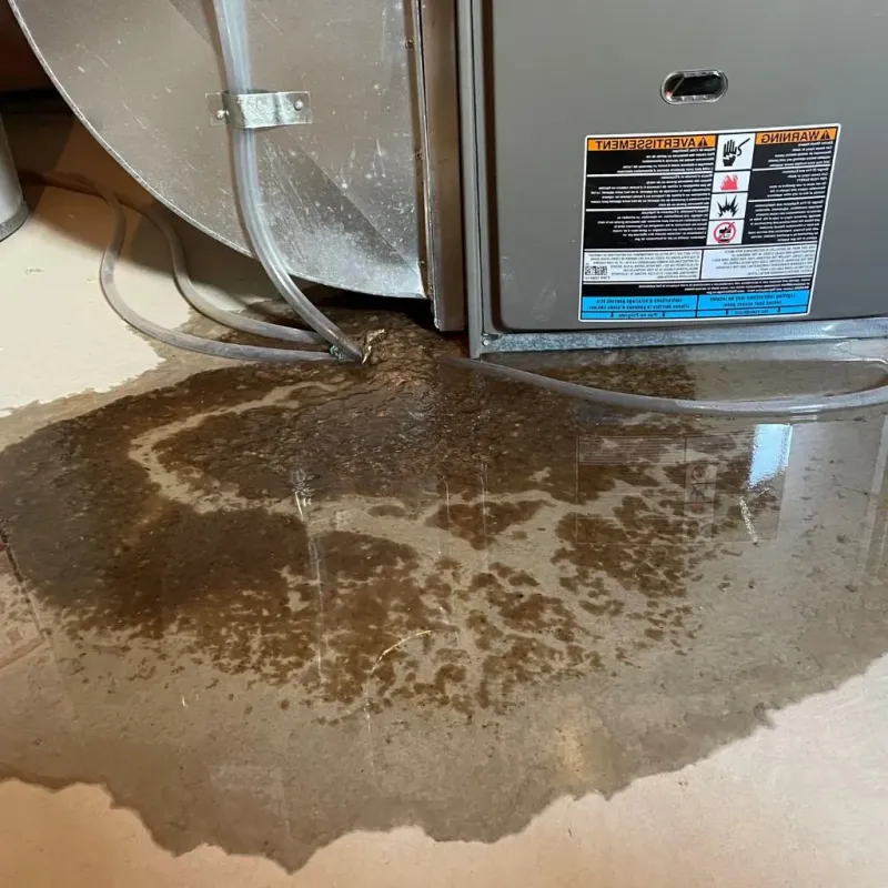 Pipe Burst and Leak Restoration in Loogootee, IN