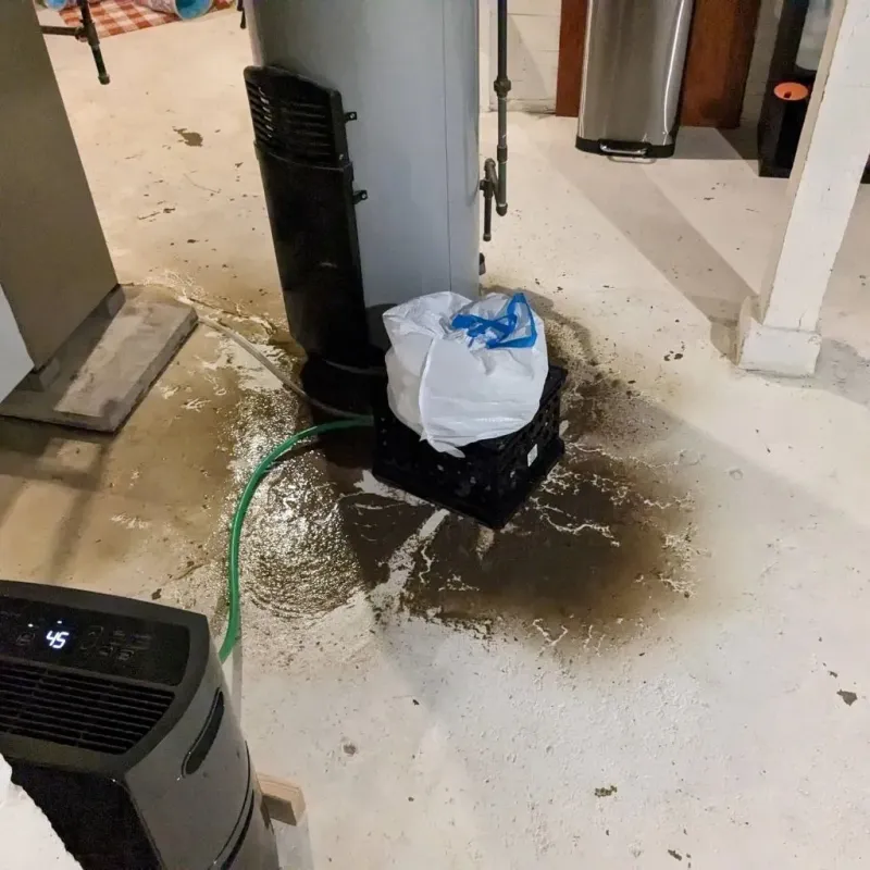 Sewage Backup Cleanup Service in Loogootee, IN
